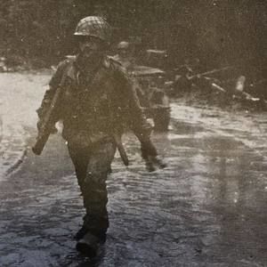 Meet your Posher, Dawn